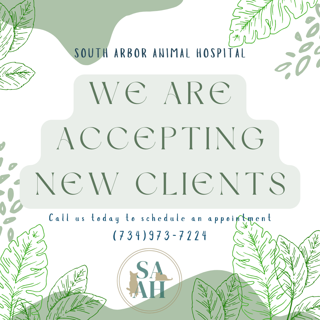 South Arbor Animal Hospital Ypsilanti Veterinarians